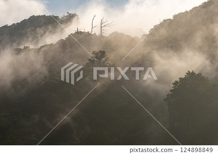 Light and fog like a sumi-e painting World Natural Heritage Yakushima (Summer) Light and fog like a sumi-e painting World Natural Heritage Yakushima (Summer) 124898849