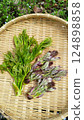 Harvesting spring wild vegetable taros Harvesting spring wild vegetable taros 124898858