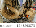 dirty muffler on a mountain bike. scooter exhaust system after mud racing 124898873