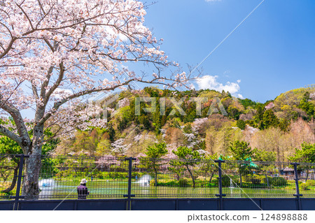 春釣公園 東京Summerland 春釣公園 東京Summerland 124898888
