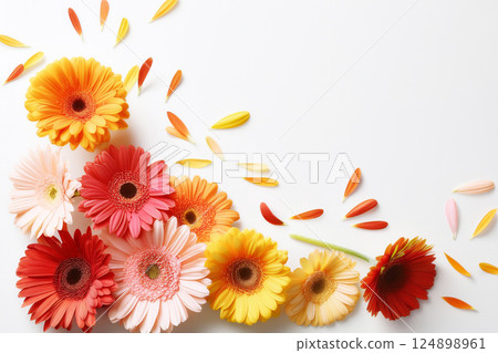 Frame of colorful gerberas on white background 124898961