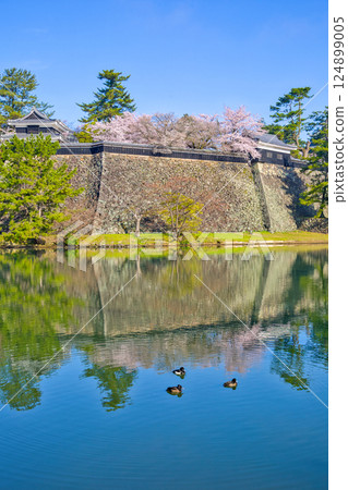 <島根縣>春天的松江城和護城河 124899005