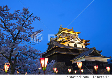 <Shimane Prefecture> Matsue Castle in Spring: Cherry Blossoms at Night 124899016