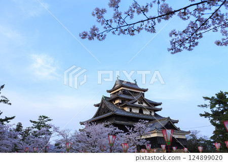 <Shimane Prefecture> Matsue Castle in spring at dusk 124899020