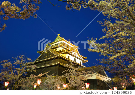 <Shimane Prefecture> Matsue Castle in Spring: Cherry Blossoms at Night <Shimane Prefecture> Matsue Castle in Spring: Cherry Blossoms at Night 124899026