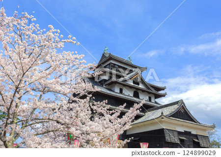 <Shimane Prefecture> Matsue Castle in spring: The castle tower surrounded by cherry blossoms <Shimane Prefecture> Matsue Castle in spring: The castle tower surrounded by cherry blossoms 124899029