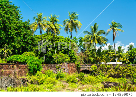 Ruins of an old penal colony at Royale Island, one of Salvation Islands in French Guiana, South America 124899075