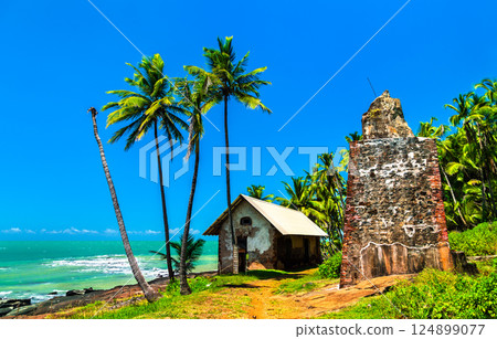 Old ruins at Royale Island, one of Salvation Islands in French Guiana, South America Old ruins at Royale Island, one of Salvation Islands in French Guiana, South America 124899077