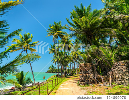 Old ruins at Royale Island, one of Salvation Islands in French Guiana, South America Old ruins at Royale Island, one of Salvation Islands in French Guiana, South America 124899078