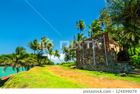 Old ruins at Royale Island, one of Salvation Islands in French Guiana, South America 124899079