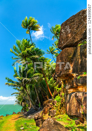 Old ruins at Saint Joseph Island, one of Salvation Islands in French Guiana, South America 124899087