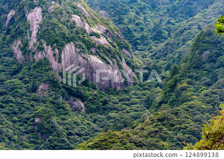 屋久島世界遺產的壯麗景色（六月） - 夏日陽光下閃耀的山脈 124899138