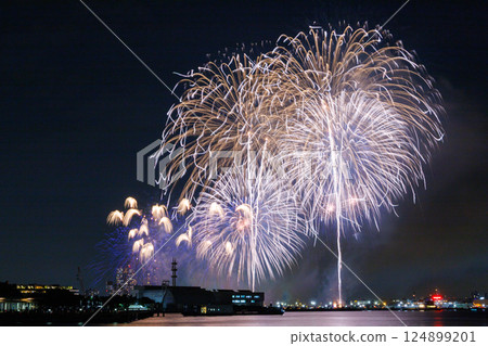 一朵巨大的煙火在夜空中綻放 124899201