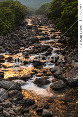 Evening view of the Yakushima Alps (June) Miyanoura River illuminated in the afterglow of summer 124899267