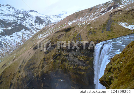 Huge waterfall and birds in Iceland 124899295