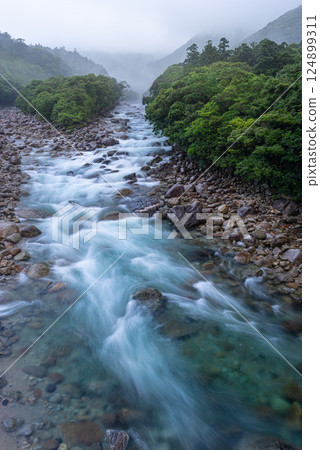 河霧、宮之浦川谷、屋久島、阿爾卑斯山近海（夏季） 124899311