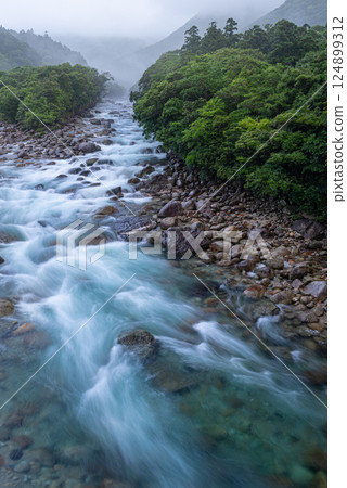 River mist, Miyanoura River Valley, Yakushima, Offshore Alps (Summer) 124899312