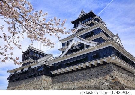 [Kumamoto Prefecture] Cherry blossoms in full bloom and Kumamoto Castle (main and small castle towers) 124899382