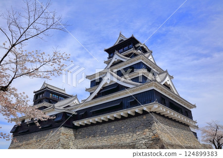 [熊本縣] 櫻花盛開與熊本城（天守閣、小天守閣） 124899383