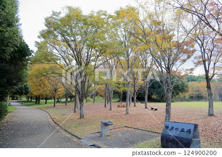 Autumn park 124900200
