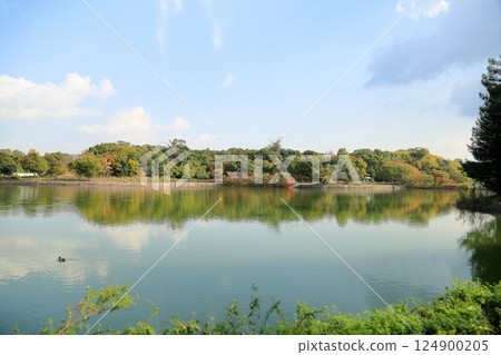 Refreshing and bright autumn park 124900205