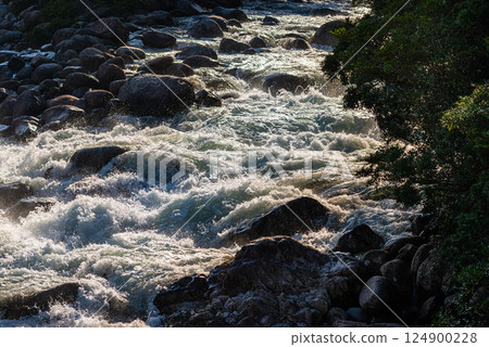 夏日陽光、宮之浦川谷、屋久島、阿爾卑斯山近海 124900228