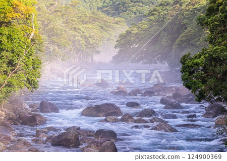 River mist, Miyanoura River Valley, Yakushima, Offshore Alps (Summer) 124900369