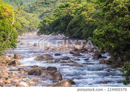 River mist, Miyanoura River Valley, Yakushima, Offshore Alps (Summer) 124900370