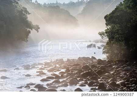 Summer river mist, Miyanoura River Valley, Yakushima, offshore Alps 124900387