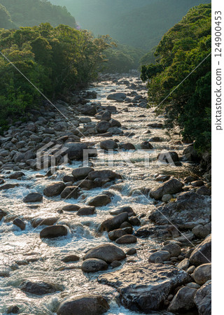 Yakushima Offshore Alps Valley (July) Environmental and ecological image 124900453