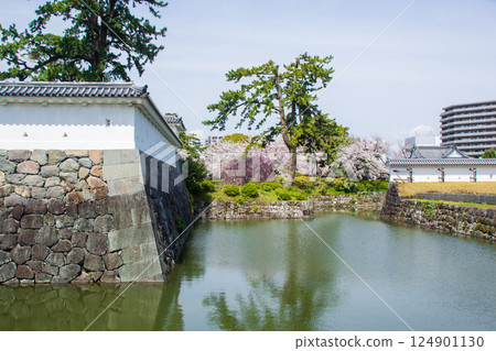 小田原城公園的春天景色 124901130