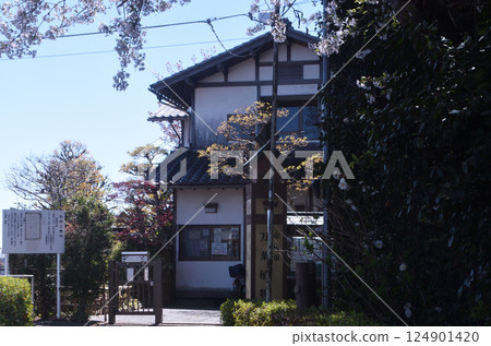 日式花園的春天 日式花園的春天 124901420