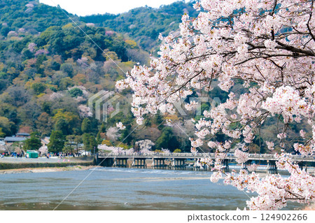 Spring Arashiyama Togetsukyo Bridge Front Pin 124902266