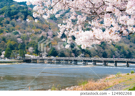 Spring Arashiyama Togetsukyo Bridge, rear focus 124902268