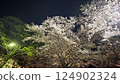 Cherry blossoms at night 124902324
