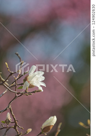 Green Center in early spring Green Center in early spring 124902630