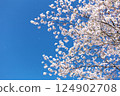 Spring is coming 124902708