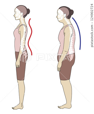 Illustration of a woman lying sideways with good and bad posture and an easy-to-understand skeleton Illustration of a woman lying sideways with good and bad posture and an easy-to-understand skeleton 124902724