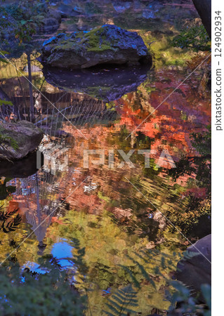 Autumn Reflection in Tranquil Garden Pond Surrounded Dec 4 2024 124902934