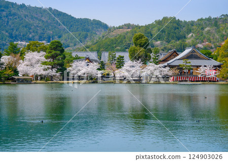 Daikakuji Temple - Osawa Pond in spring Daikakuji Temple - Osawa Pond in spring 124903026