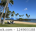 Hawaii hotel private beach 124903188