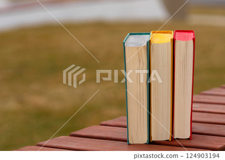 Three hardcover books standing vertically on wooden outdoor bench. 124903194