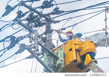 烏鴉巢：電線桿頂端的烏鴉巢，拆除工作，停電原因 124903375