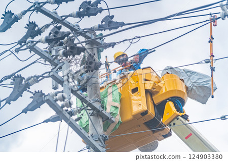 Crow's nest: Crow's nest on top of utility pole, removal work, cause of power outage 124903380