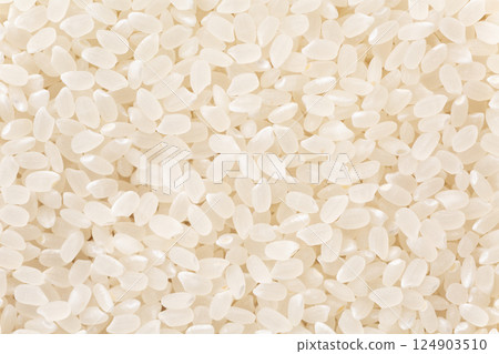 White rice White rice 124903510