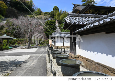 Kamikura Kenchoji 124903624