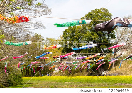 Carp streamer in Satoyama Garden 124904689