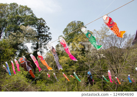 Carp streamer in Satoyama Garden Carp streamer in Satoyama Garden 124904690