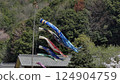Scenery with carp streamer 124904759