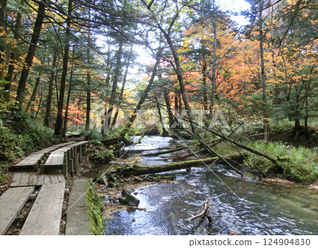 Yukawa Promenade in Oku-Nikko (Otaki waterfall to Senmon Pond) (Nikko City, Tochigi Prefecture) 124904830